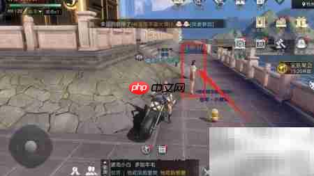海上飞鱼玩法全解析