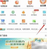 网上国网查受电工程信息