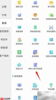 网上国网查受电工程信息