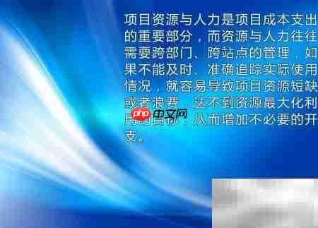 项目管理软件使用指南