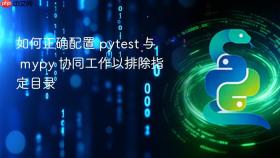 如何正确配置 pytest 与 mypy 协同工作以排除指定目录
