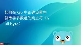 如何在 Go 中正确设置字符串字节数组的终止符(null byte)