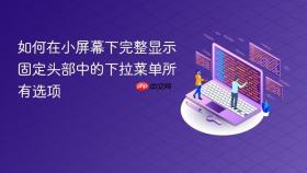 如何在小屏幕下完整显示固定头部中的下拉菜单所有选项