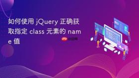 如何使用 jQuery 正确获取指定 class 元素的 name 值