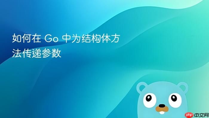 如何在 Go 中为结构体方法传递参数