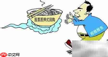 限制股东股权质押新规