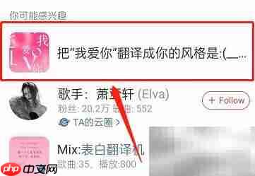 网易云表白翻译机玩法揭秘