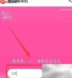 网易云表白翻译机玩法揭秘