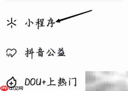 抖音极速版如何查看小程序