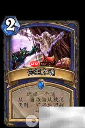 炉石传说:先祖之魂