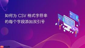 如何为 CSV 格式字符串的每个字段添加双引号