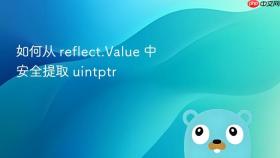 如何从 reflect.Value 中安全提取 uintptr