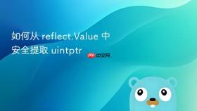 如何从 reflect.Value 中安全提取 uintptr