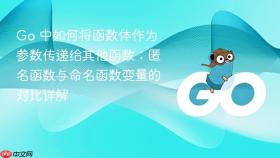 Go 中如何将函数体作为参数传递给其他函数:匿名函数与命名函数变量的对比详解