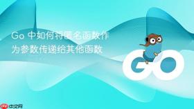 Go 中如何将匿名函数作为参数传递给其他函数