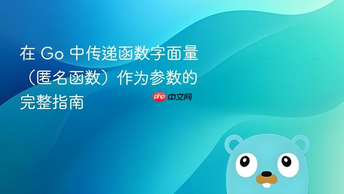 在 Go 中传递函数字面量(匿名函数)作为参数的完整指南