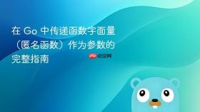 在 Go 中传递函数字面量(匿名函数)作为参数的完整指南