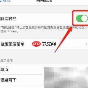 iPhone 11 Pro Max开启虚拟Home键