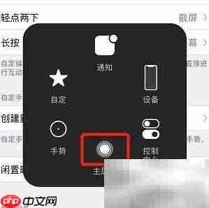 iPhone 11 Pro Max开启虚拟Home键