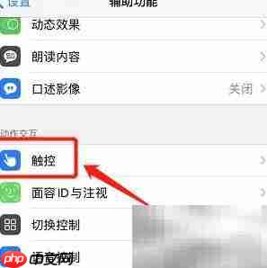 iPhone 11 Pro Max开启虚拟Home键