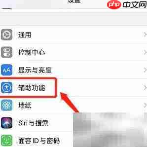 iPhone 11 Pro Max开启虚拟Home键