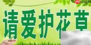 城市绿化升级新策略