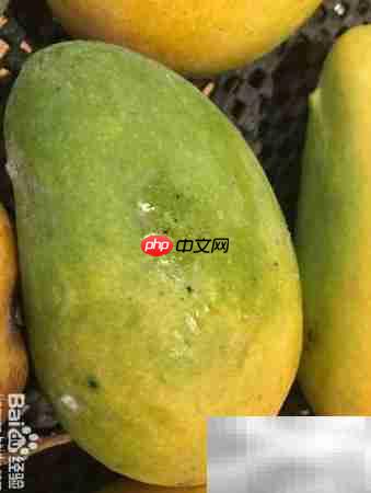 精品芒果挑选指南