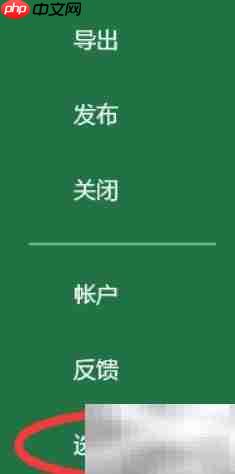 Excel怎么读:英语发音指南