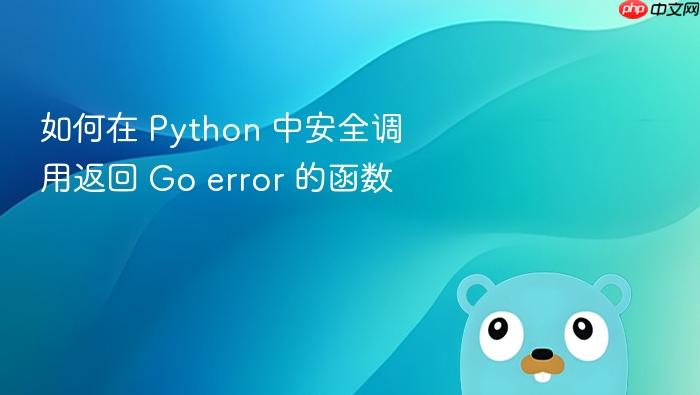 如何在 Python 中安全调用返回 Go error 的函数