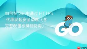 如何在 Go 中通过 HTTPS 代理发起安全请求(含完整配置与排错指南)