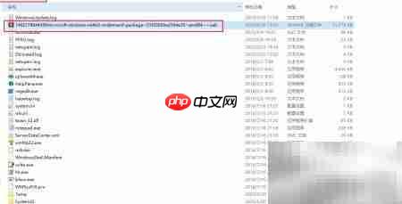 Win2016安装.NET 3.5失败解决