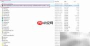 Win2016安装.NET 3.5失败解决