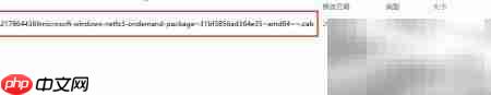 Win2016安装.NET 3.5失败解决