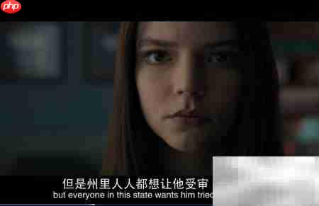 QQ影音在线字幕自动匹配设置