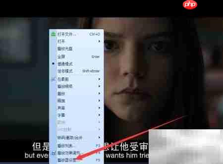 QQ影音在线字幕自动匹配设置
