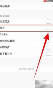 开启Atom缓存的简易方法
