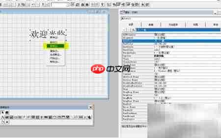 VF6.0复制表单标签技巧