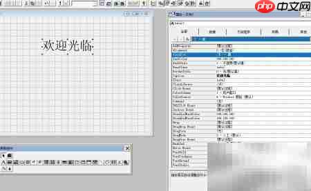 VF6.0复制表单标签技巧