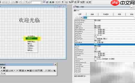 VF6.0复制表单标签技巧