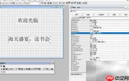 VF6.0复制表单标签技巧