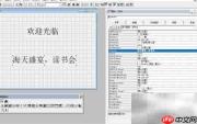 VF6.0复制表单标签技巧