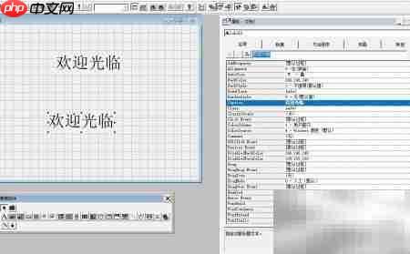 VF6.0复制表单标签技巧