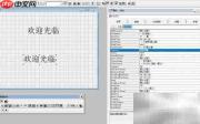 VF6.0复制表单标签技巧