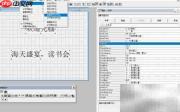 VF6.0复制表单标签技巧