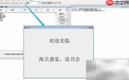 VF6.0复制表单标签技巧