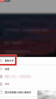 一言动态文字一键复制技巧