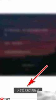 一言动态文字一键复制技巧