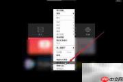 5KPlayer更改下载路径方法