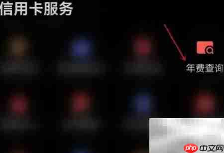 阳光惠生活年费查询指南
