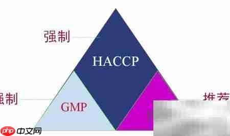 GMP四要素实施指南